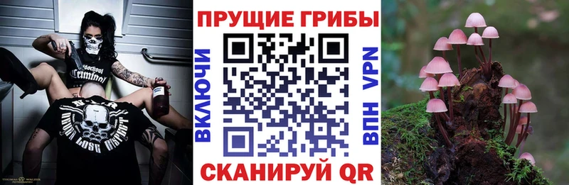 Галлюциногенные грибы ЛСД  Тюмень 